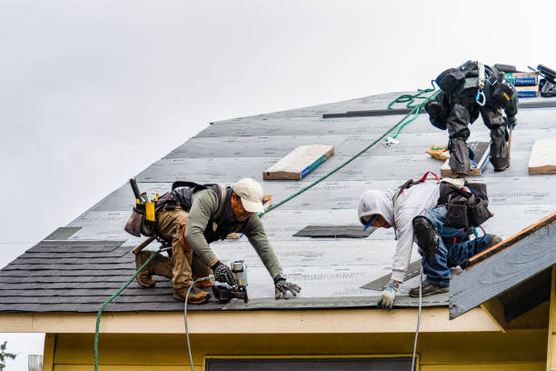 Professional Emergency Roof Repair technician working in Foster, OR